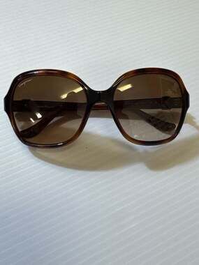 Salvatore Ferragamo SF761S (Sun),